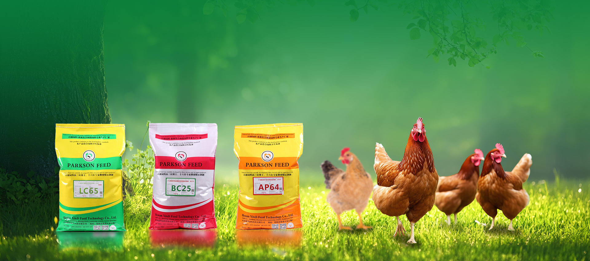Profesjonell produsent av hønsepremixer
