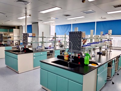 Hvordan forebygge gastrointestinal ødem sykdom av gris?